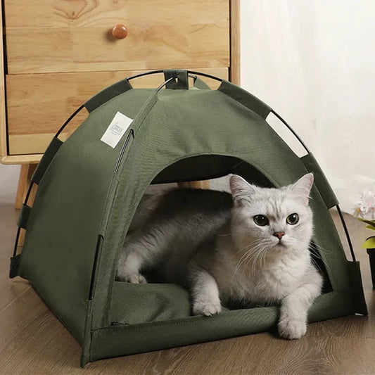 Cat tent